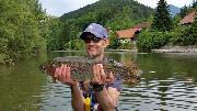 Good Rainbow t, Slovenia fly fishing
